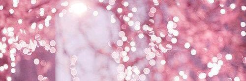 positivepocky's profile banner image