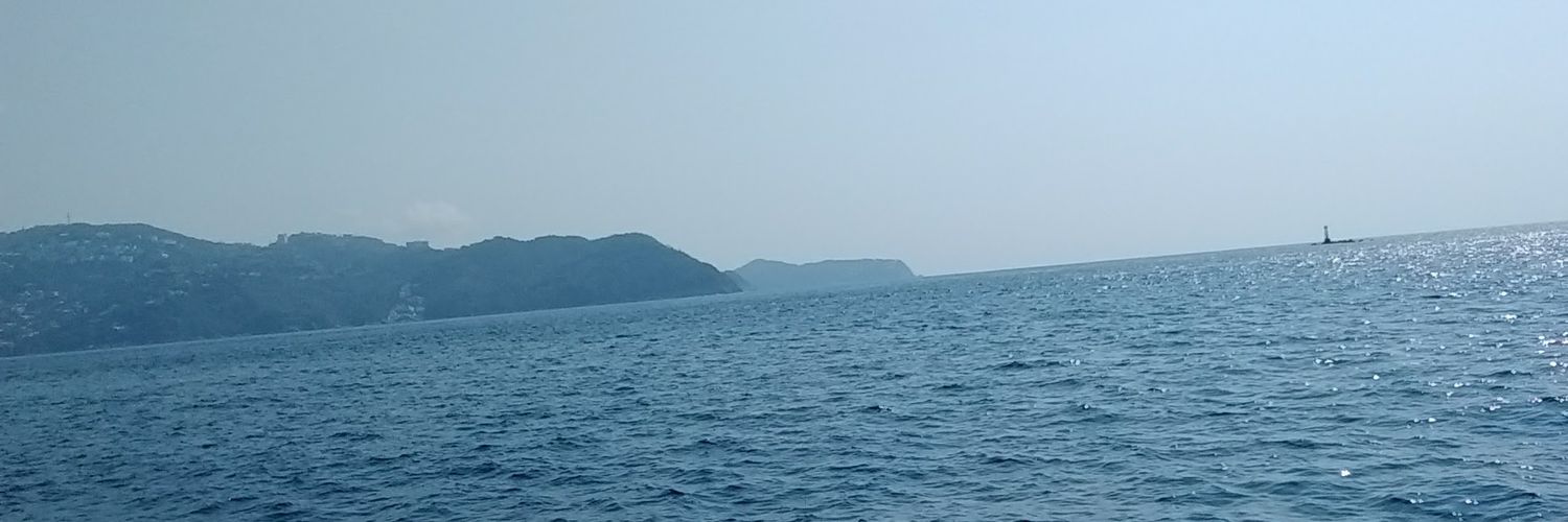 turquezul's profile banner image