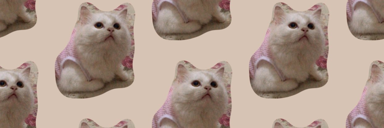 bellasantya_'s profile banner image