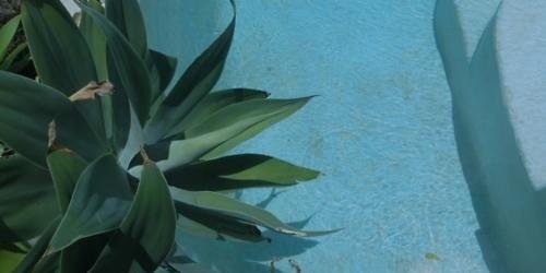 collinsskygdr's profile banner image