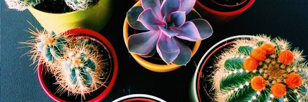 tcavazoss's profile banner image