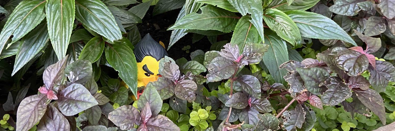 MattBeach_'s profile banner image