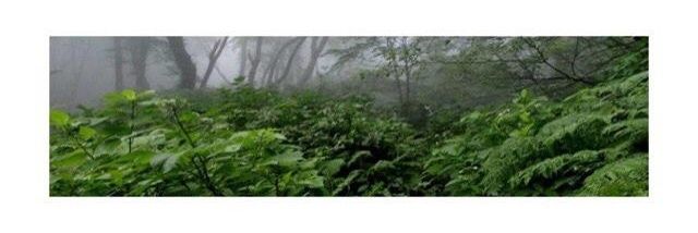 franciscogdrss's profile banner image