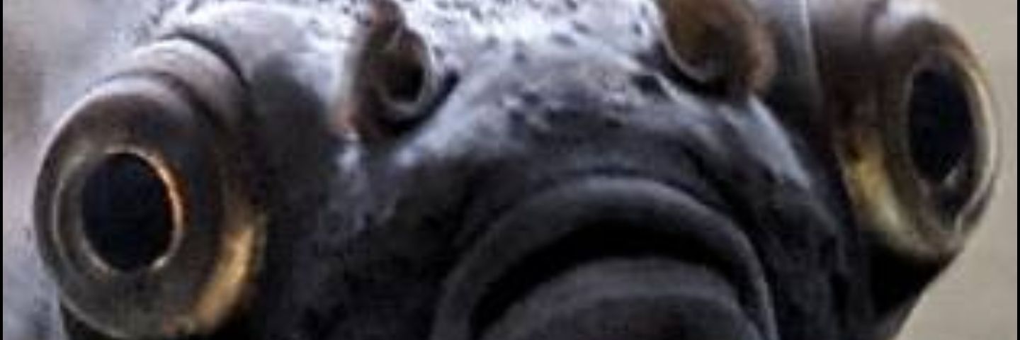 ton_mix's profile banner image