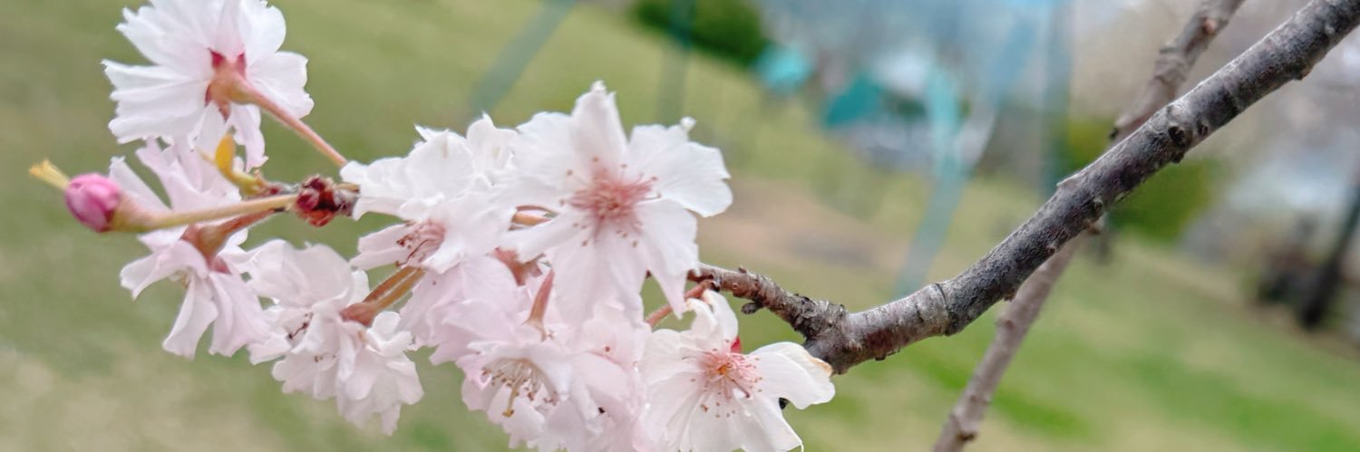 kuromocoxttx's profile banner image