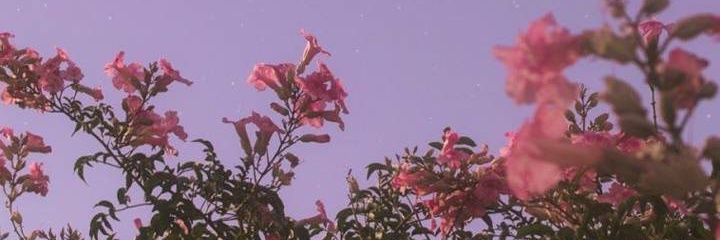 Marshall_Ge's profile banner image