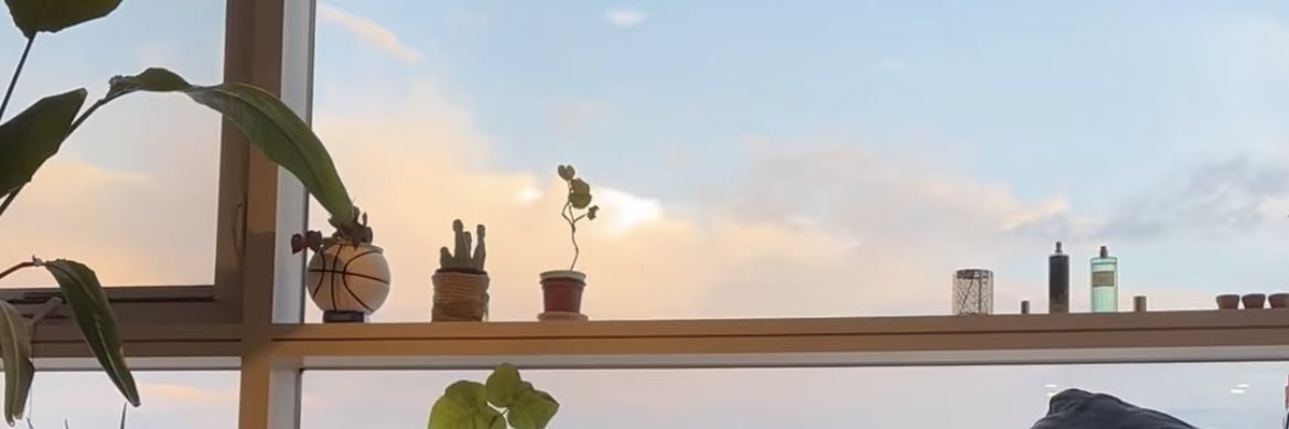 tthafx_'s profile banner image