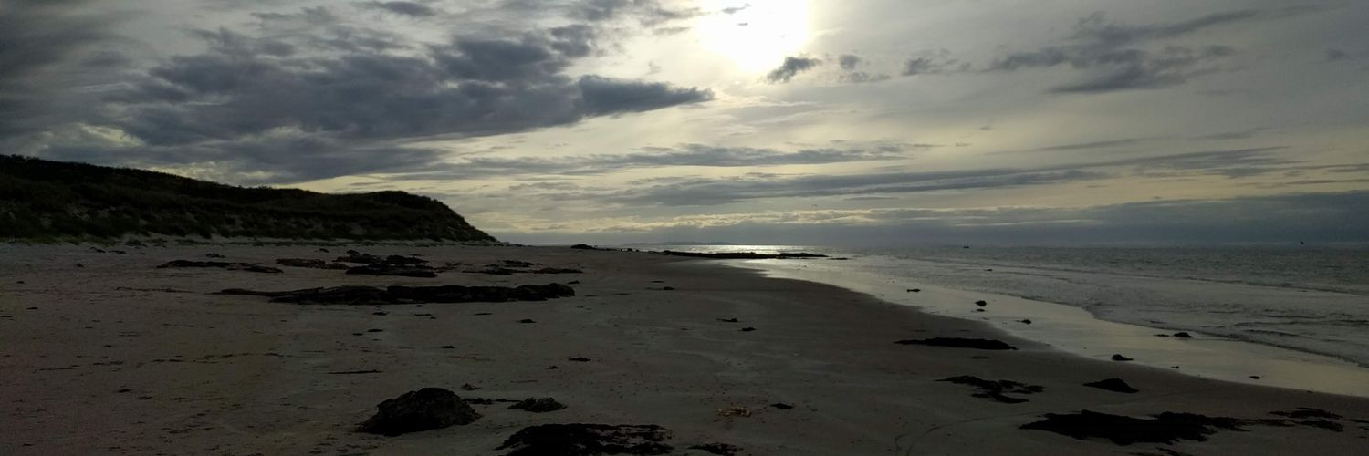 WillenhallWench's profile banner image