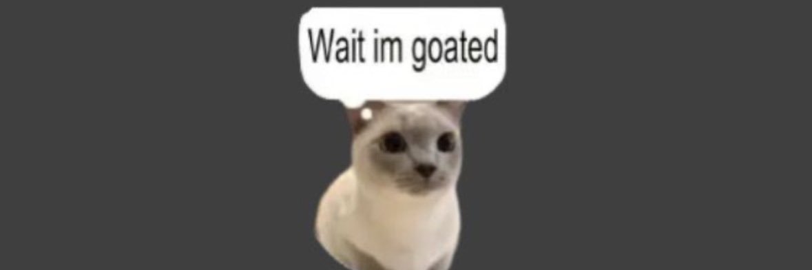 nyctophoric's profile banner image