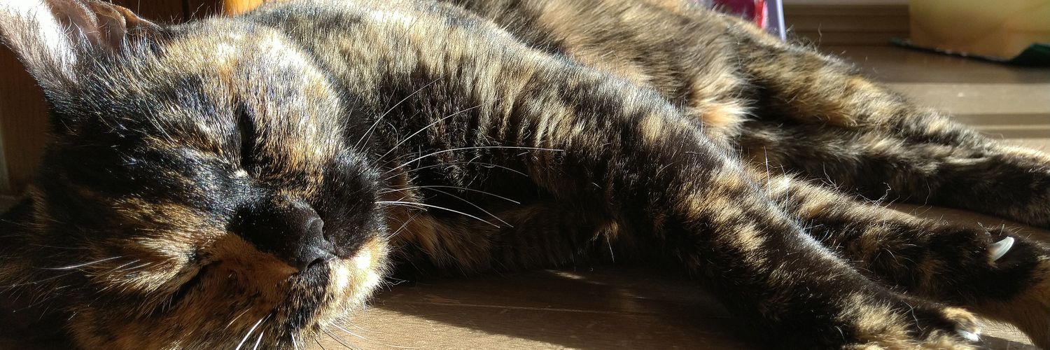 cookie_click's profile banner image