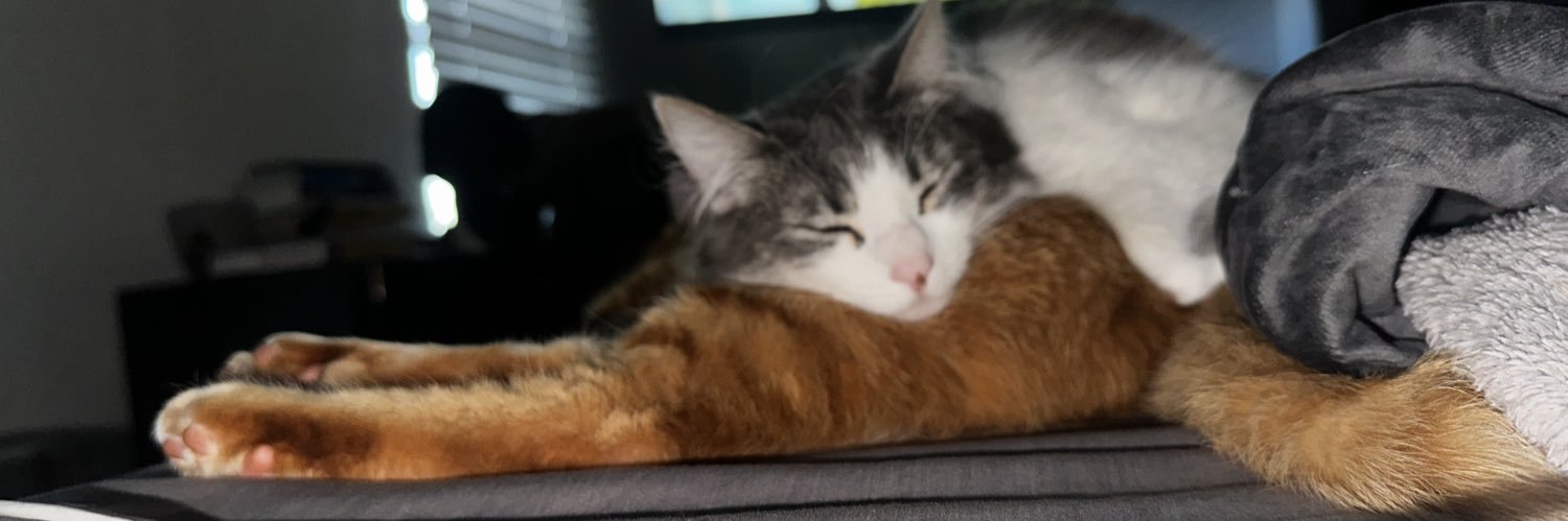 Riley_dmbridges's profile banner image