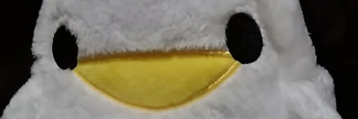 ruri1417's profile banner image