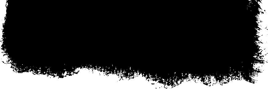 Nora Vox 🇵🇸 banner