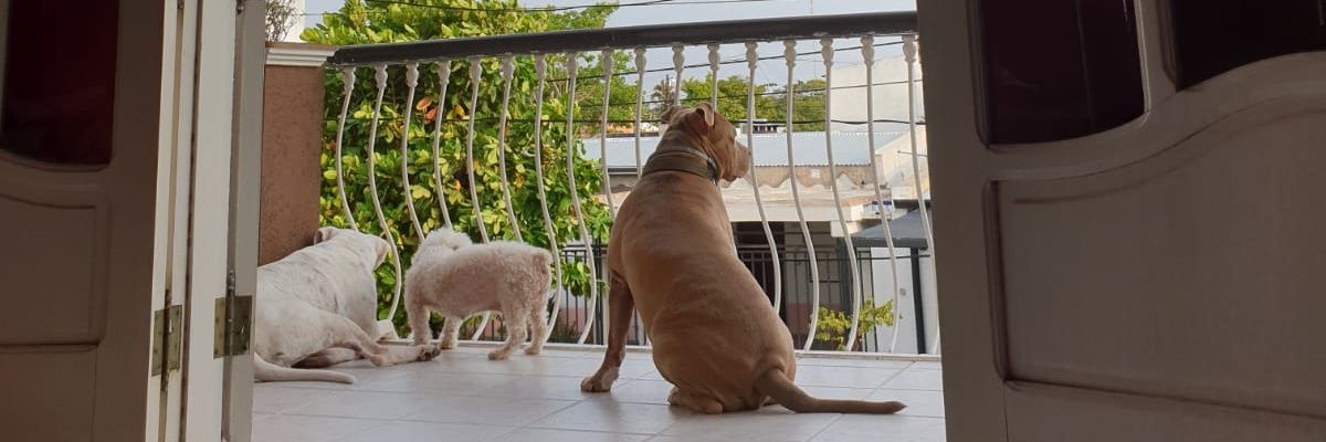 gastonsilva27's profile banner image