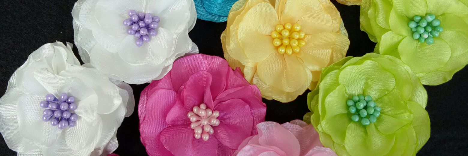 mydinofancy's profile banner image