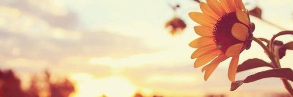 zebby_c Profile Banner