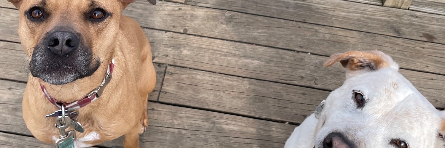 colleenblogs's profile banner image