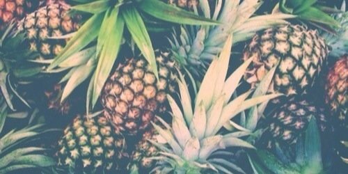 fennabosma's profile banner image