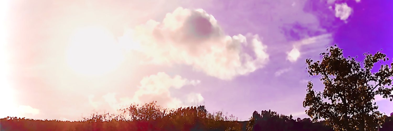 electraevoluta's profile banner image