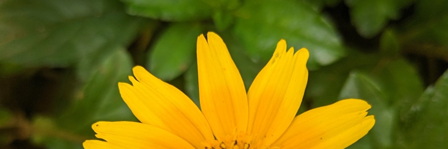 Sujohere's profile banner image