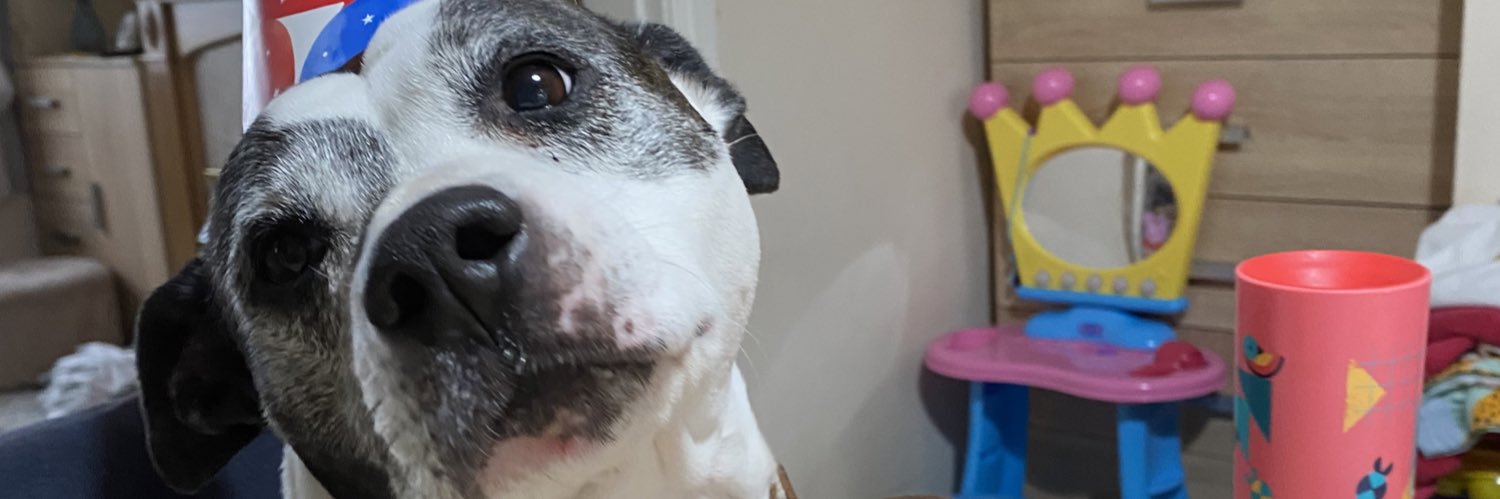 Chloemay114's profile banner image