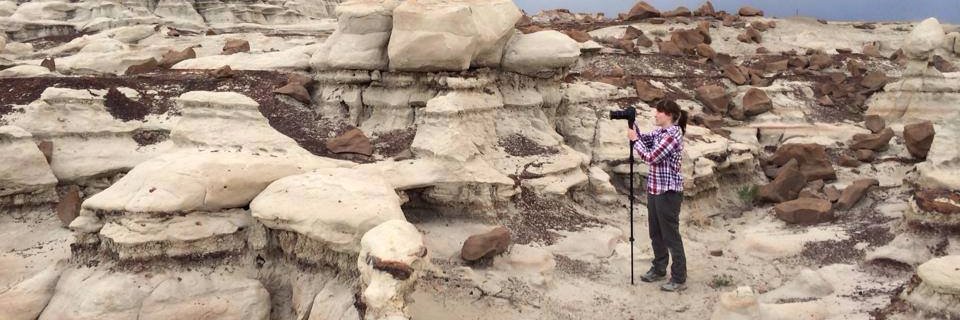 Lexi Jamieson Marsh banner