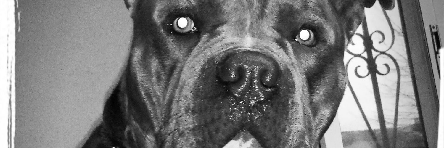 CuKi82's profile banner image