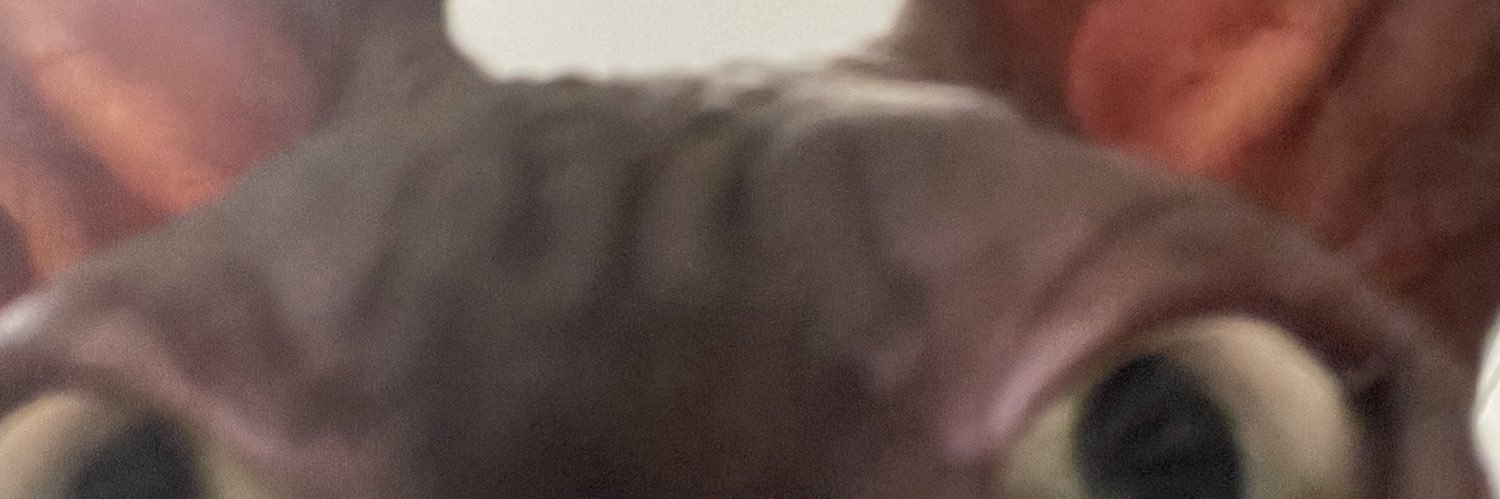 halesbaugh's profile banner image