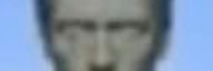 lamest court jester banner