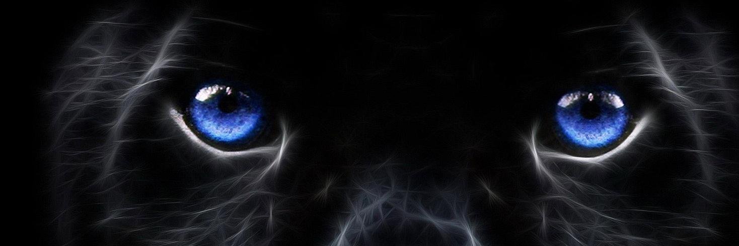 baritony08's profile banner image