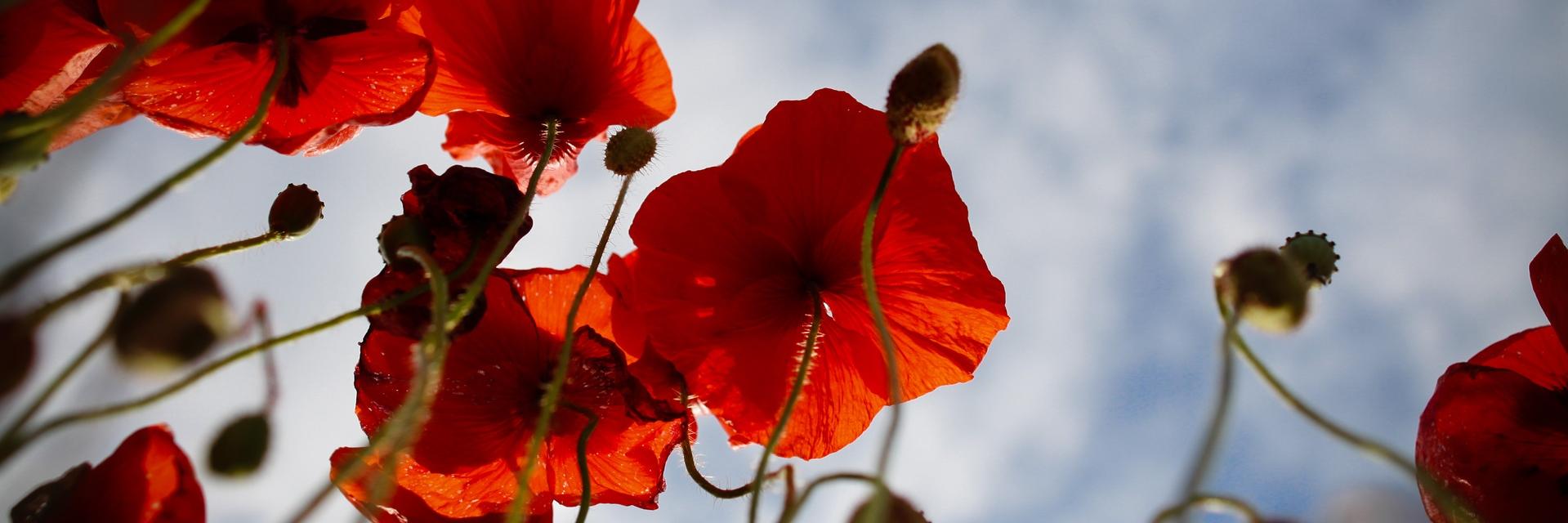 Срать нельзя! banner