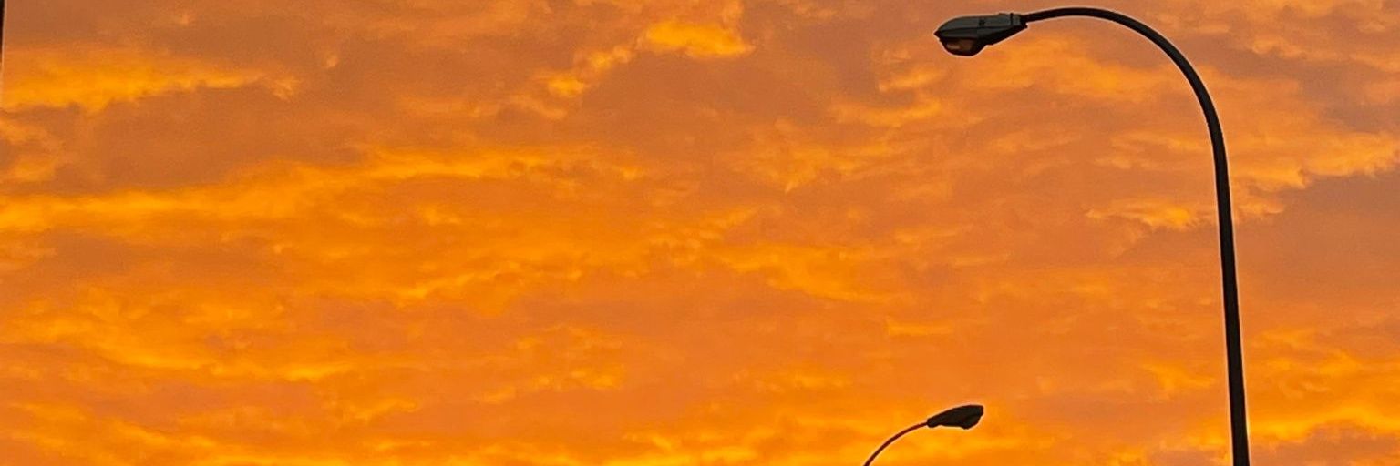 ___aaliii's profile banner image