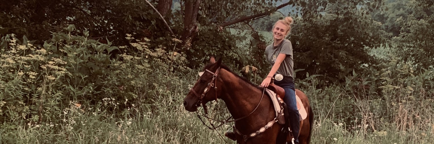 Taylor_ANN2's profile banner image