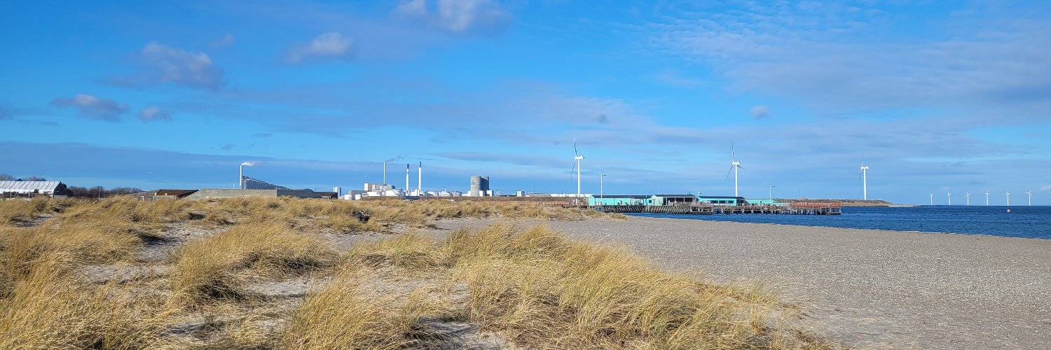 Friederike Holze banner