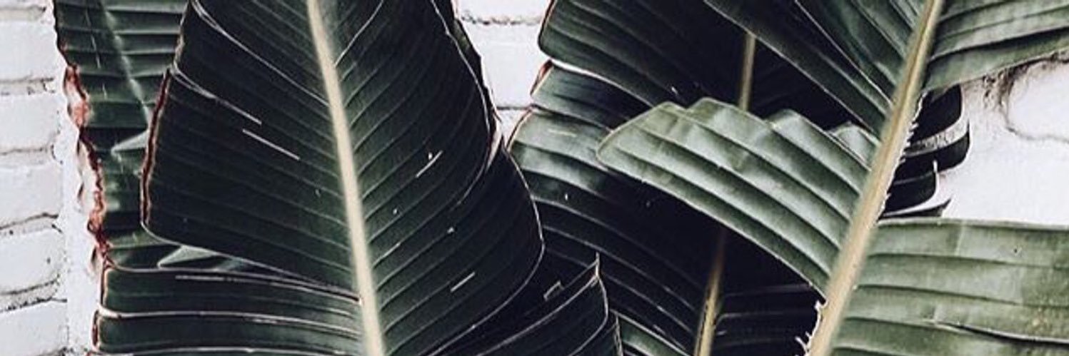 virtuallykylie's profile banner image