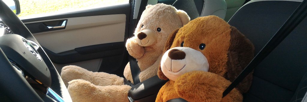stuffedparty's profile banner image