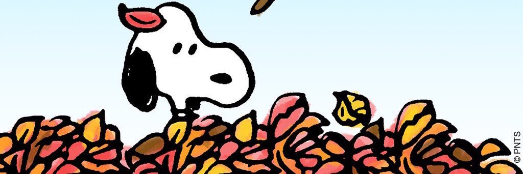 kmkm719's profile banner image