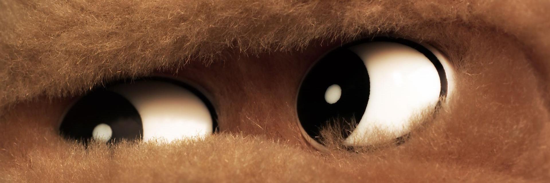 rahmiyf's profile banner image