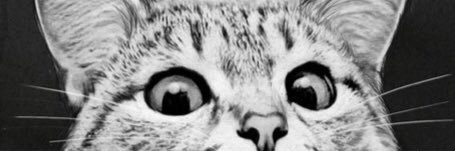 _anatomica_'s profile banner image