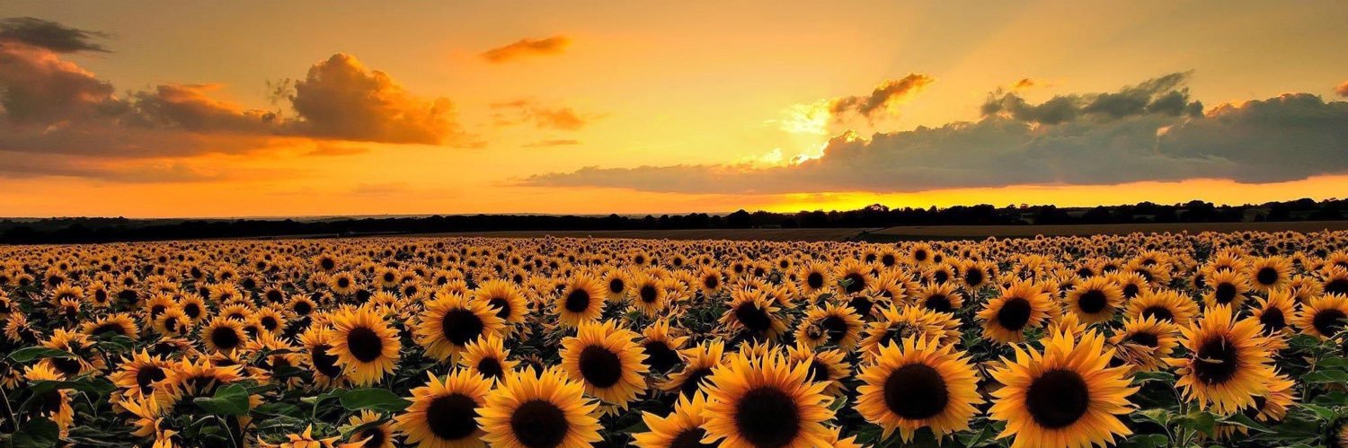 katlynscotney's profile banner image