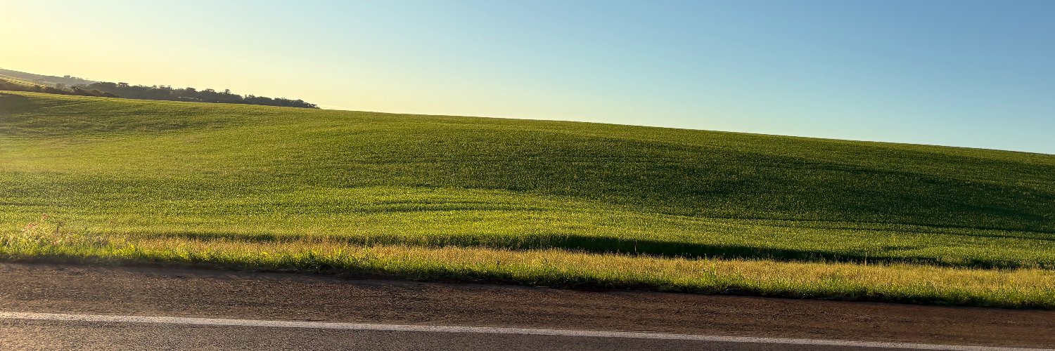 t1t4 banner