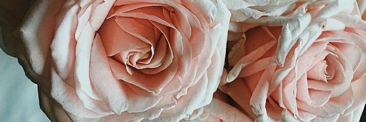 draasma_abbas's profile banner image