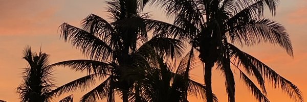magrab26 Profile Banner