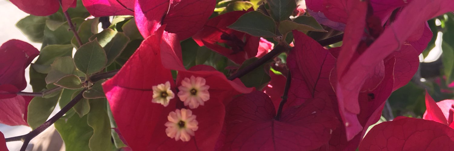 Denfriessen's profile banner image