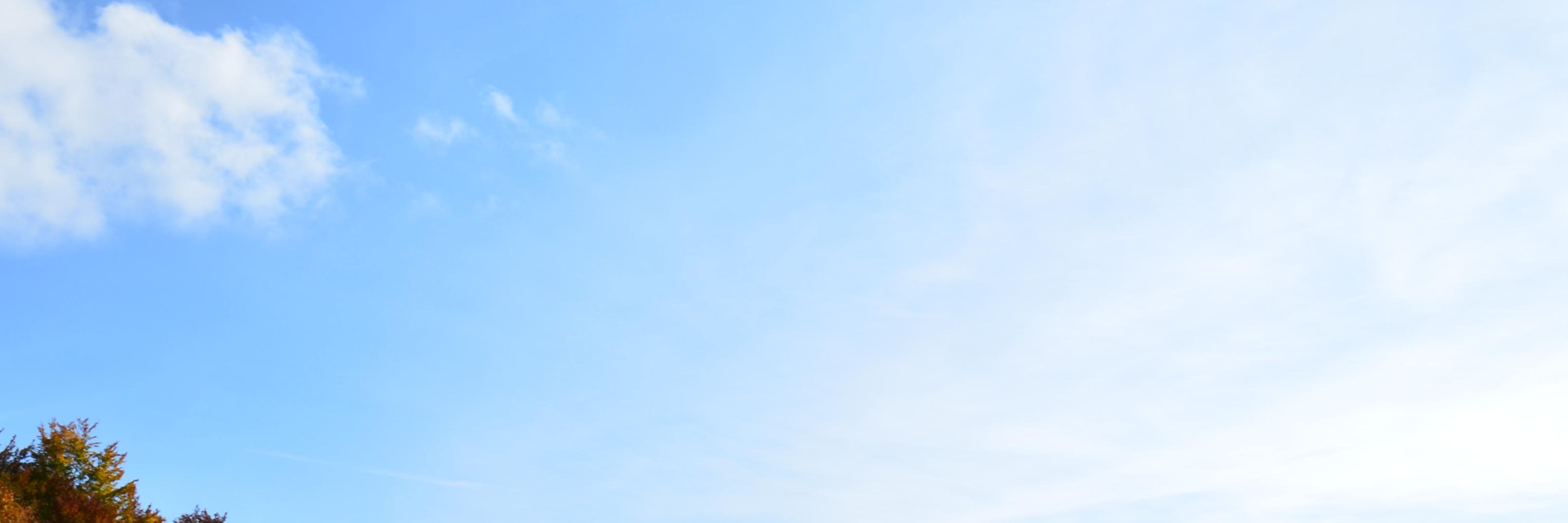 KatPiekarczyk's profile banner image