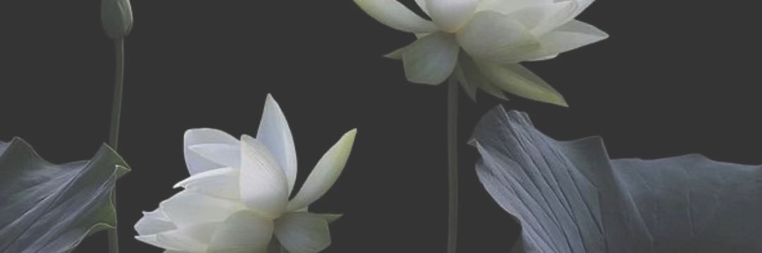 zuyeos's profile banner image