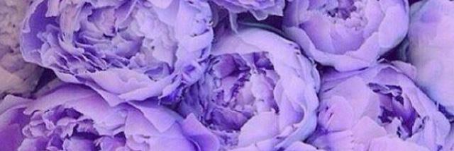Emilybye0309's profile banner image