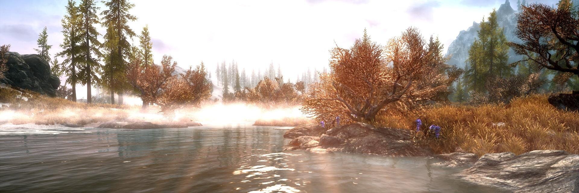 immortalanex's profile banner image