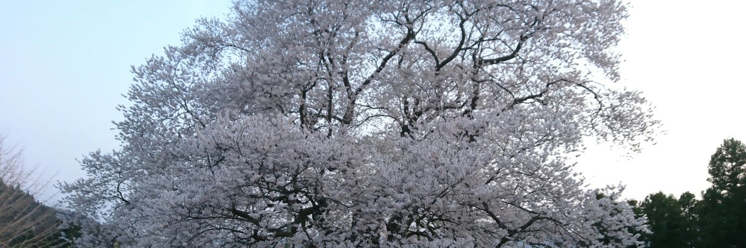 higasinomori882's profile banner image