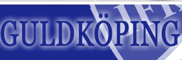 SFGuldkoping's profile banner image